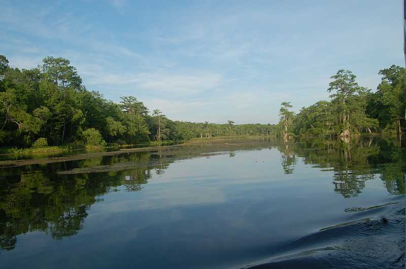 Bridge  - Spring 2006 066.JPG - Wakulla Springs State Park contains one of the world's largest and deepest fresh water springs. The bowl of the spring covers approximately three acres. Flow from the spring amounts to around 1.0 billion gallons per day!